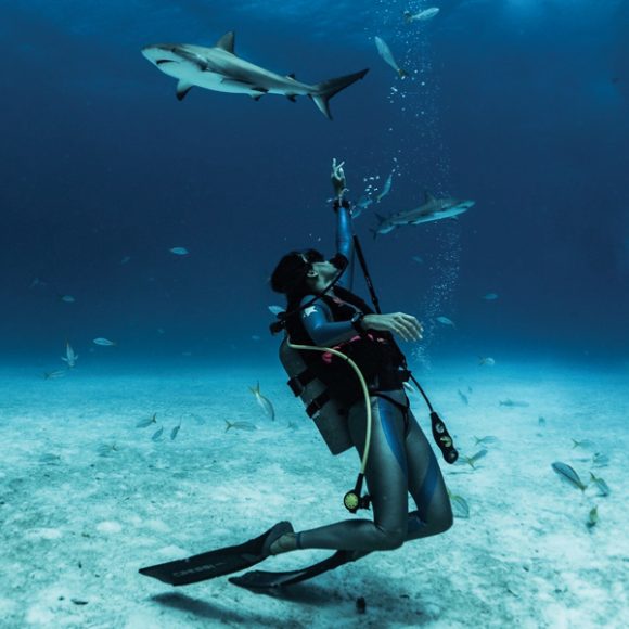 Bahamas scuba diving International Property & Travel